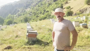 Yayla yasakları arıcıları vurdu