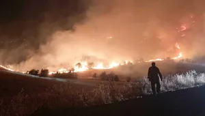 Bakanlık: 5 bin 111 dekar ekiliydi