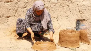 Bir kovandan arıcılığa