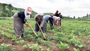 Kadınlar için mayınlı tarla