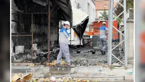 Tacizden pogrom devşirdiler