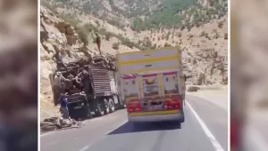 Elkê'de ağaç kesimi sürüyor