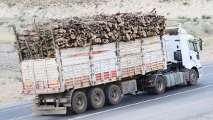 Şırnak’ta ormanın yüzde 8’i yok edildi