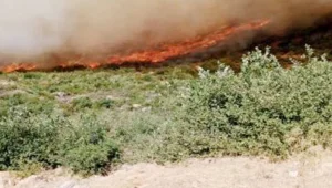 Efrîn-Şehba'ya saldırılar