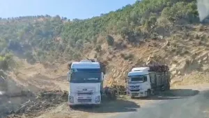 Gabar’dan Efrîn’e kıyım