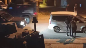 Polisten işkence: 90’lara dönülür