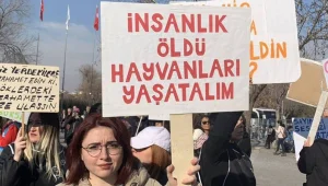 Yaş kesen, baş keser!