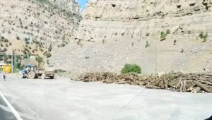 İki yüzlü ekolojistler!