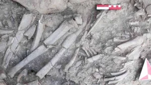 Dicle kıyısında 12 bin yıllık kadın mezarı