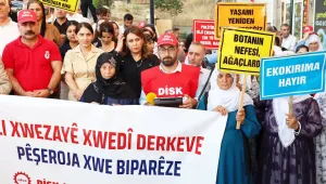 Ekokırım Şirnex'i nefessiz bırakıyor