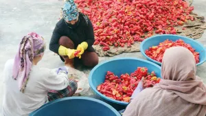 'Küçük hayaller' ile iş imkanı