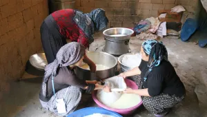 Otlu peynir zamanı