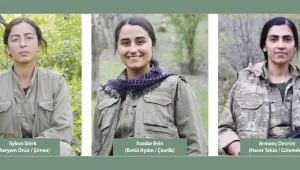 Botan ve Wan’da üç şehit