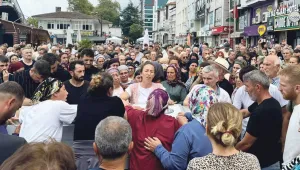 Katil şirket, AKP beslemesi