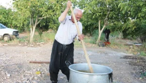 İklim krizi ‘bastik’i de vurdu