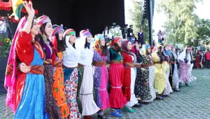 Bir festival güncesi