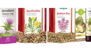 Enginar cezaevi için tehlikeliymiş