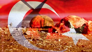 Irkçı cumhuriyetin çocukları