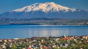 Korunaklı çete