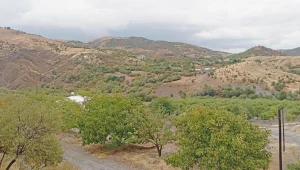 86 yıldır dinmeyen acı: Axzunik