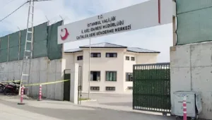 Göçmen kadınlara işkence