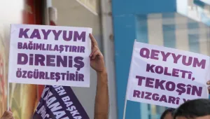 Kayyum politikasının arka planı