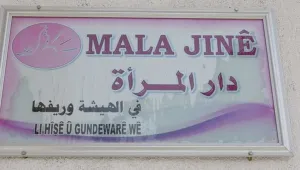 Çözümün evi: Mala Jin
