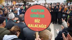 Resmi sadizm