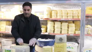Kaşarın başkenti ama…