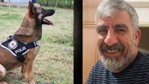 Köpek polisler saldırdı