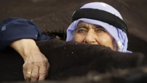 Kısa bir özgürlük anlatısı