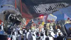Güney Kore'de uçak kazası: 177 ölü