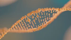 Topraktan gelen DNA