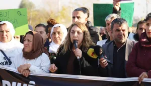 Statüsünü kabul edin