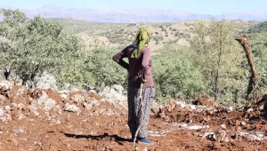 Çıralı 2B projesi bir felaket