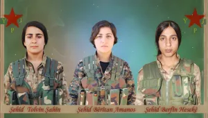 Tolvîn, Amanos ve Berfîn: Bir Kürt, iki Arap savaşçı