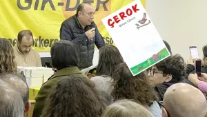 Masalların peşinde