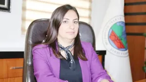 Kayyum atamak için hızlandırılmış ceza
