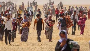 Şengal kararı  korsanvari bir karardır