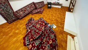 Almanya kadın aktivisti tutukladı