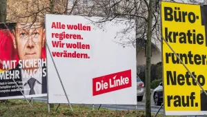 Die Linke destek istedi