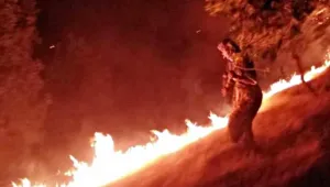 Ekoloji mücadelesinde 'Beyaz Türk' bakışı