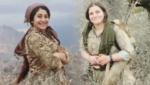 Colemêrg’in Zîlan’ı, Dirbesiyê’nin Delal’i
