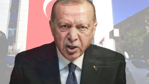 Devletin iç organları