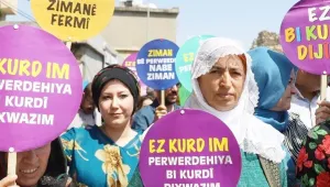Ana Dil üzerine