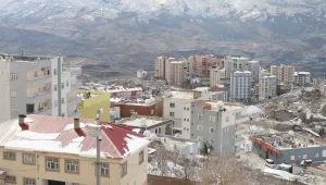 Şirnex'ın tek onkologu da izinde