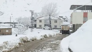 Soruşturma sırasında bile fuhuş