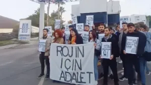 'Yavru vatan' anası gibi