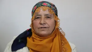 Şavak'ta bir koçer