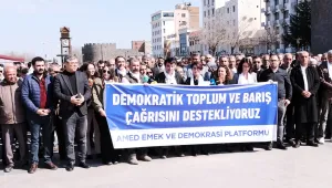 Demokratik toplum ve siyasal alanın mevcutluğu